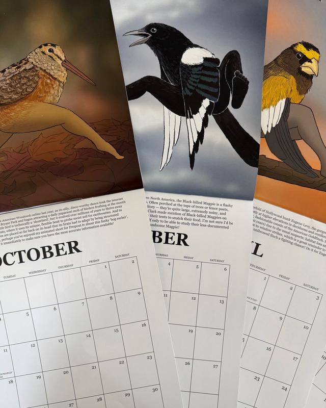 🪶 2027 Calendar of Extremely Accurate Birds – Photorealistic Nature Illustrations for Bird Lovers & Home Decor🐦