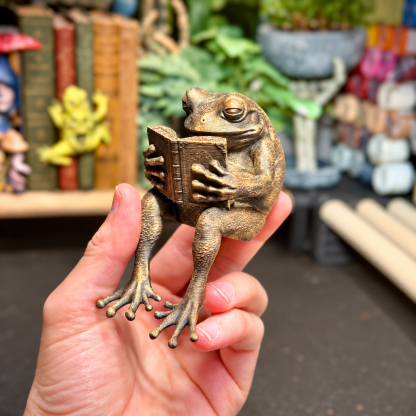 🐸Last Day 40% OFF - Reading Frog Shelf Sitter