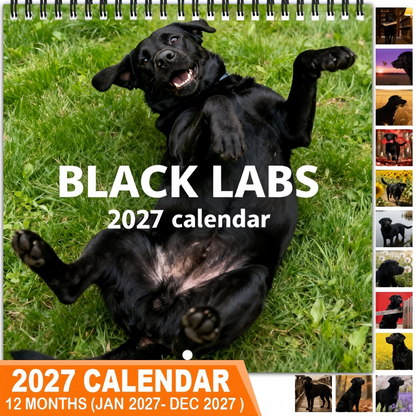 🐾 Black Labs 2027 Wall Calendar — 12 Months of Loyal Looks & Happy Tails