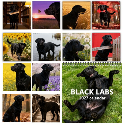 🐾 Black Labs 2027 Wall Calendar — 12 Months of Loyal Looks & Happy Tails