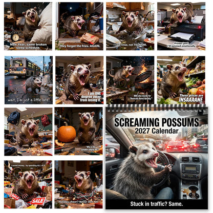 🐾Screaming Possums 2027 Wall Calendar – 12-Month Funny Relatable Calendar, Chaotic Life Humor Hanging Planner for Office, Home & Gag Gift