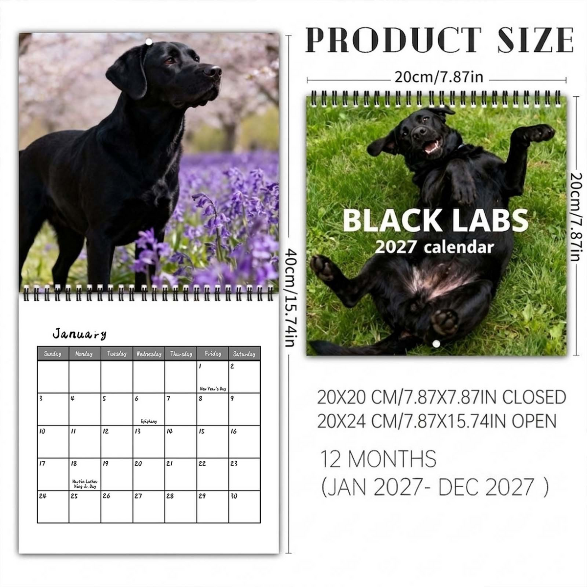 🐾 Black Labs 2027 Wall Calendar — 12 Months of Loyal Looks & Happy Tails