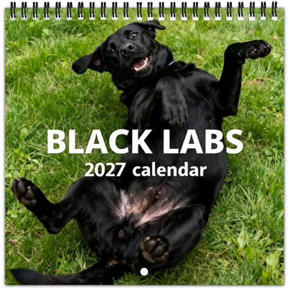 🐾 Black Labs 2027 Wall Calendar — 12 Months of Loyal Looks & Happy Tails