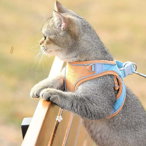 🐕 One Piece Pet Vest Leash – Adjustable & breathable mesh