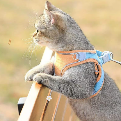 🐕 One Piece Pet Vest Leash – Adjustable & breathable mesh
