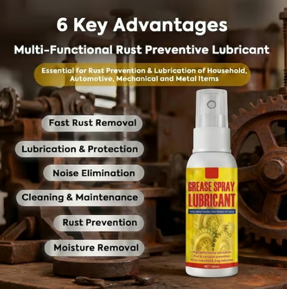 Anti-Rust Lubricant Spray & Rust Remover