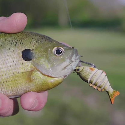 Lifelike Fishing Lures for Freshwater and Saltwate