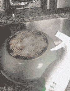 Multifunctional Kitchen Appliance Cleaner