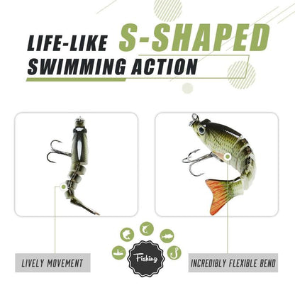 Lifelike Fishing Lures for Freshwater and Saltwate