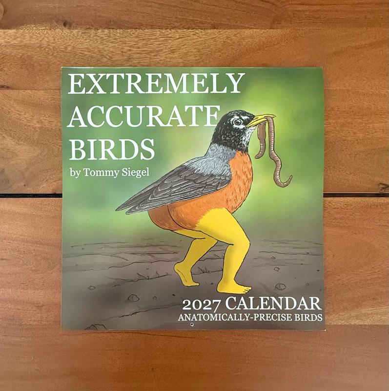 🪶 2027 Calendar of Extremely Accurate Birds – Photorealistic Nature Illustrations for Bird Lovers & Home Decor🐦