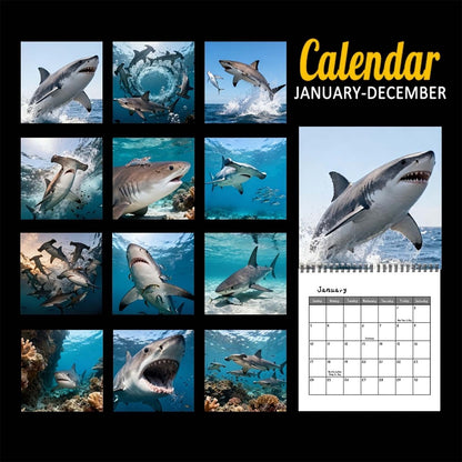 🦈2027 Sharks Wall Calendar – 12 Months of Incredible Sharks & Ocean Adventures