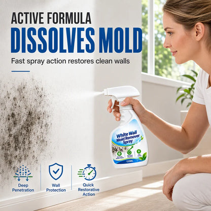 🧴50% OFF NOW! Fast-Acting Wall Mold Remover Spray, Deep Penetrating Mildew Cleaner, Quick Restoration Mold Removal Spray for Home Walls & Bathroom
