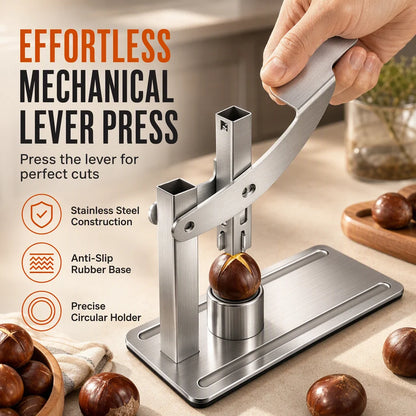 Stainless Steel Chestnut And Nut Cracker