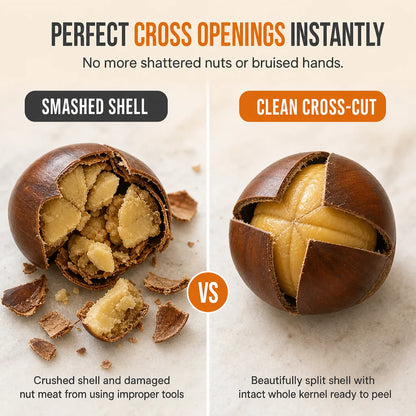 Stainless Steel Chestnut And Nut Cracker