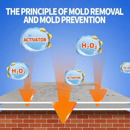 Mold Remover Spray – 3-in-1 Clean, Kill & Prevent, Deep Penetrating Oxygen-activated Formula, Non-toxic & Pet-safe