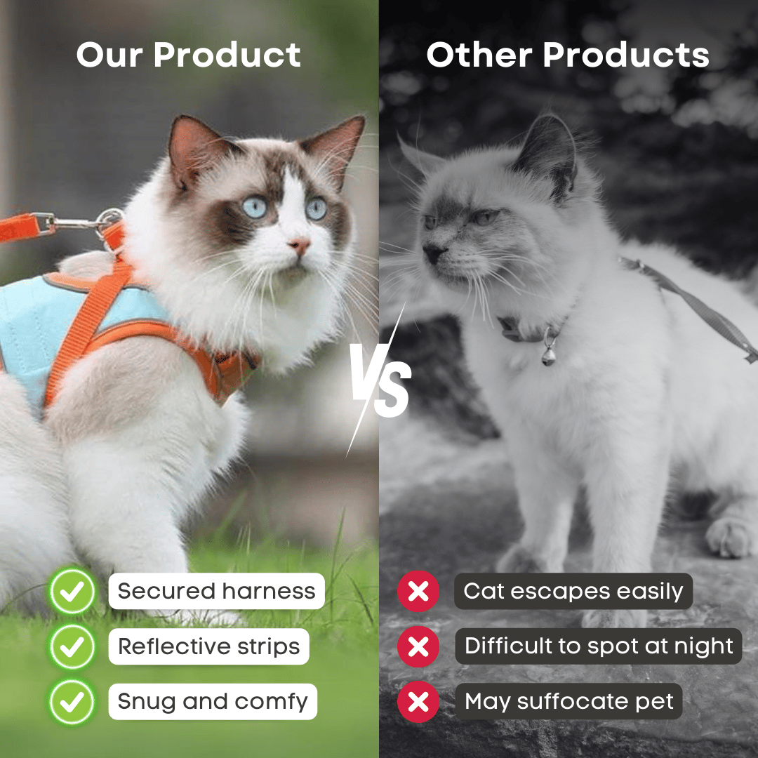 🔥Cat Harness & Leash😺✨