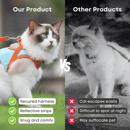 🔥Cat Harness & Leash😺✨
