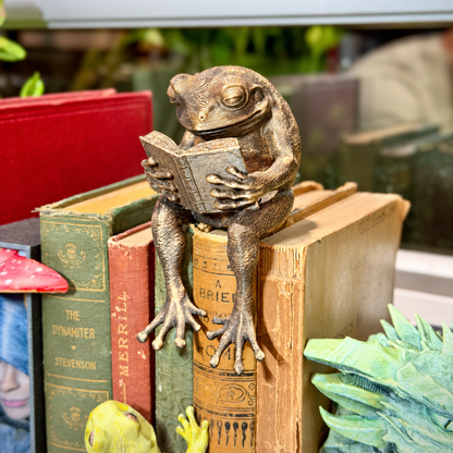 🐸Last Day 40% OFF - Reading Frog Shelf Sitter