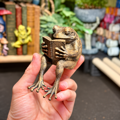 🐸Last Day 40% OFF - Reading Frog Shelf Sitter