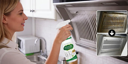 Multifunctional Kitchen Appliance Cleaner