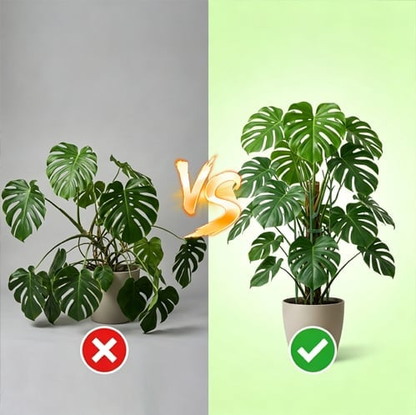 🌿Branch-Style Plant Support Stakes🌿