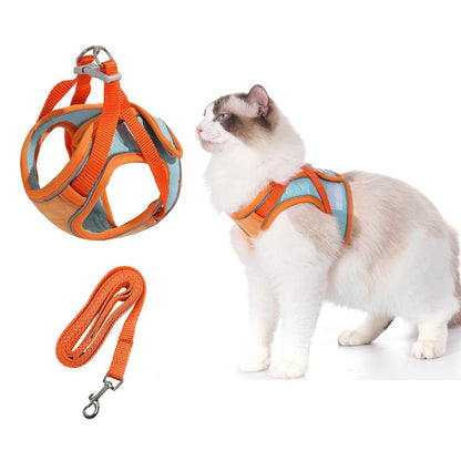 🔥Cat Harness & Leash😺✨