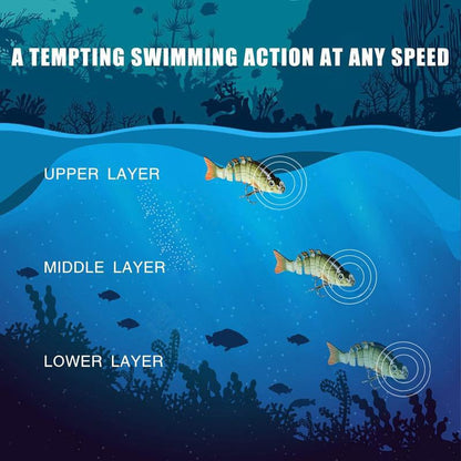 Lifelike Fishing Lures for Freshwater and Saltwate