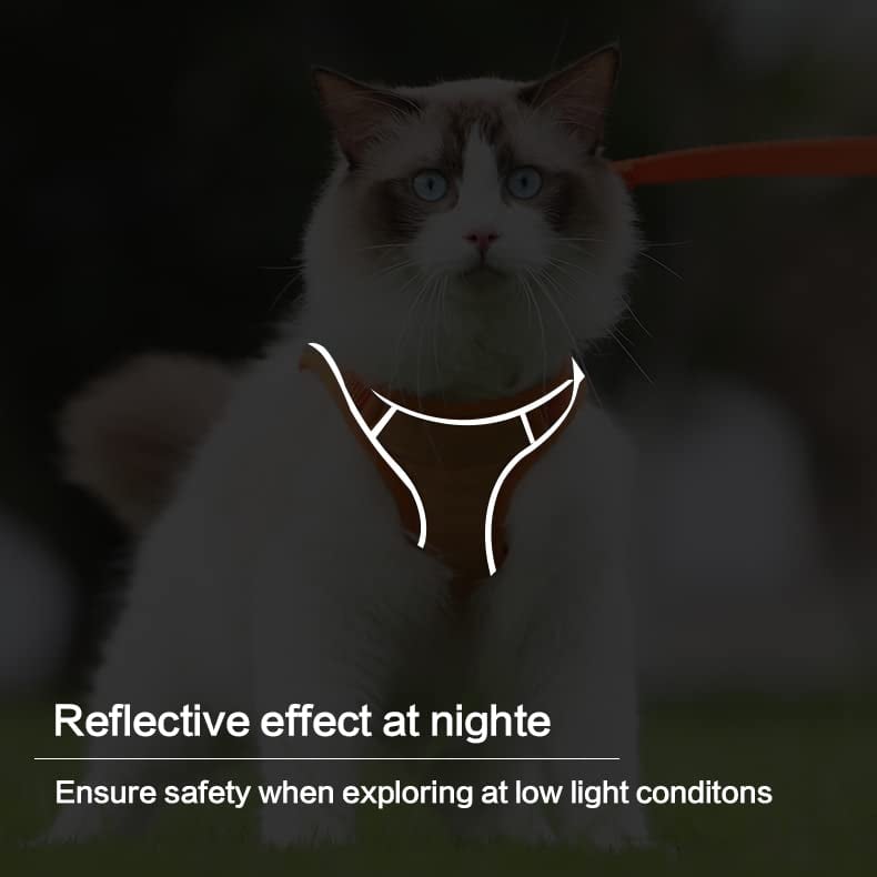 🔥Cat Harness & Leash😺✨