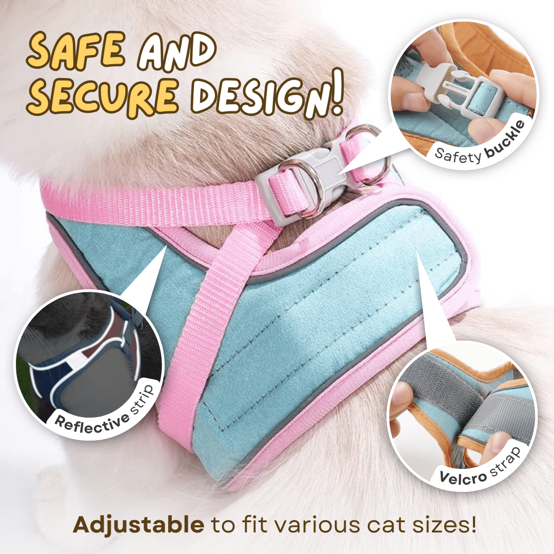 🔥Cat Harness & Leash😺✨