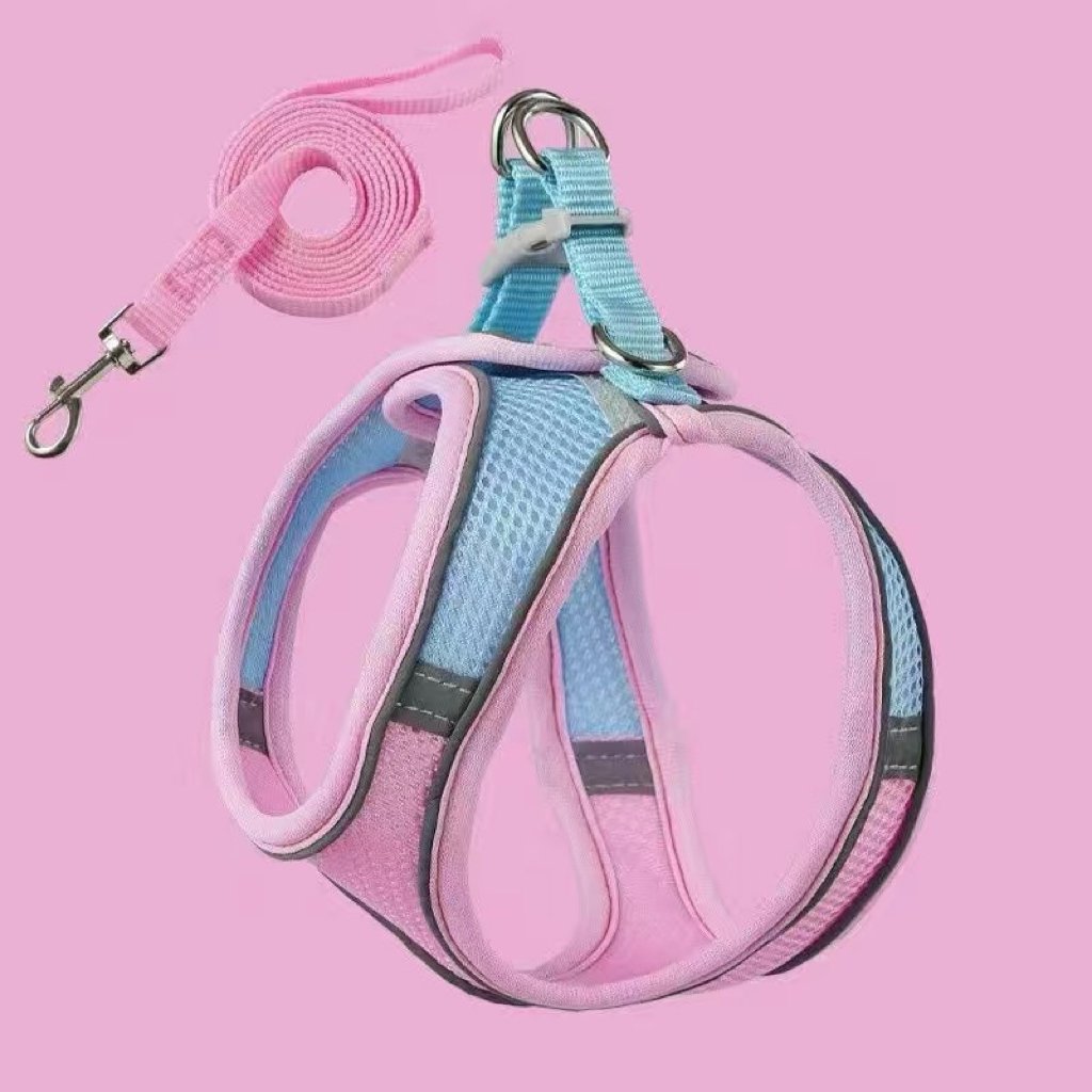 🔥Cat Harness & Leash😺✨