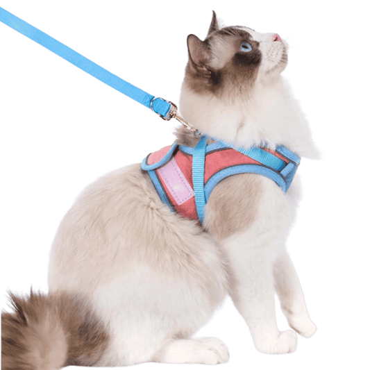 🔥Cat Harness & Leash😺✨
