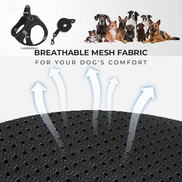 🐕 One Piece Pet Vest Leash – Adjustable & breathable mesh