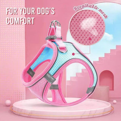 🐕 One Piece Pet Vest Leash – Adjustable & breathable mesh