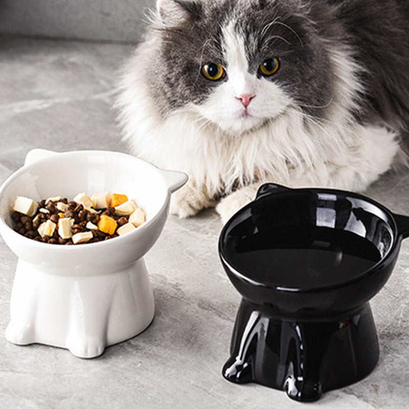 💝Ergonomic Elevated Cat Bowl